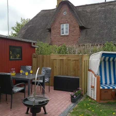 Stieglitz Midlum (Schleswig-Holstein)