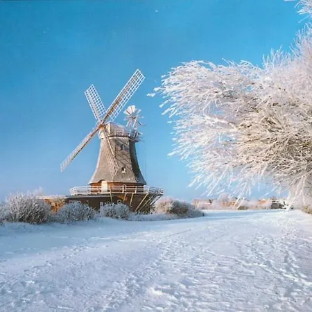 Апартаменты Stieglitz