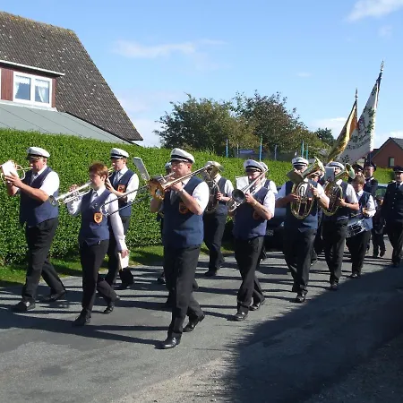 Stieglitz Midlum (Schleswig-Holstein)