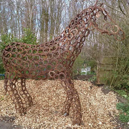 Stieglitz * Midlum (Schleswig-Holstein)