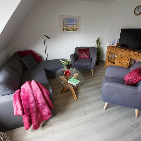 Stieglitz * Midlum (Schleswig-Holstein)